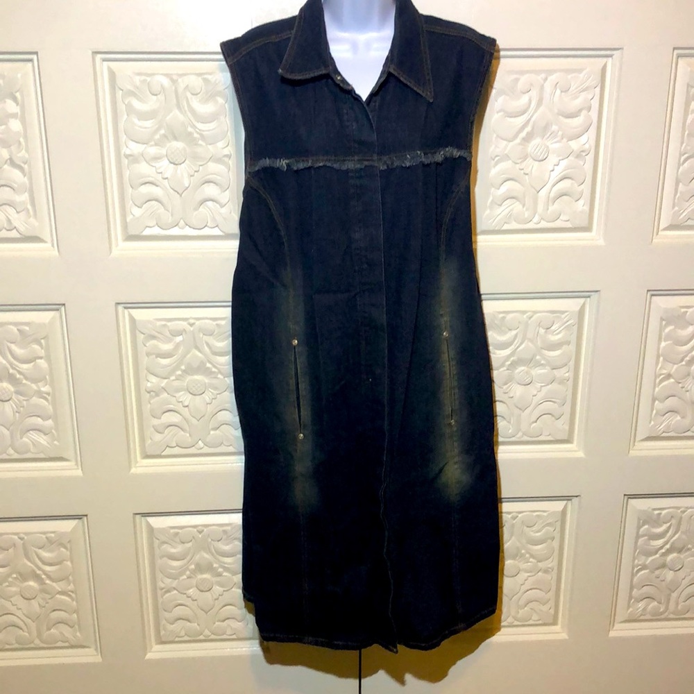 Women’s Avenue Blues Denim Dress 20